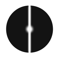 THE PERCEPTION MIRACLE